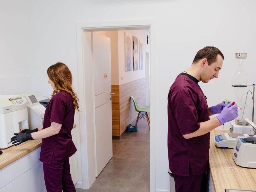 Diagnostyka w weterynarii – kiedy i jakie badania warto wykonać?