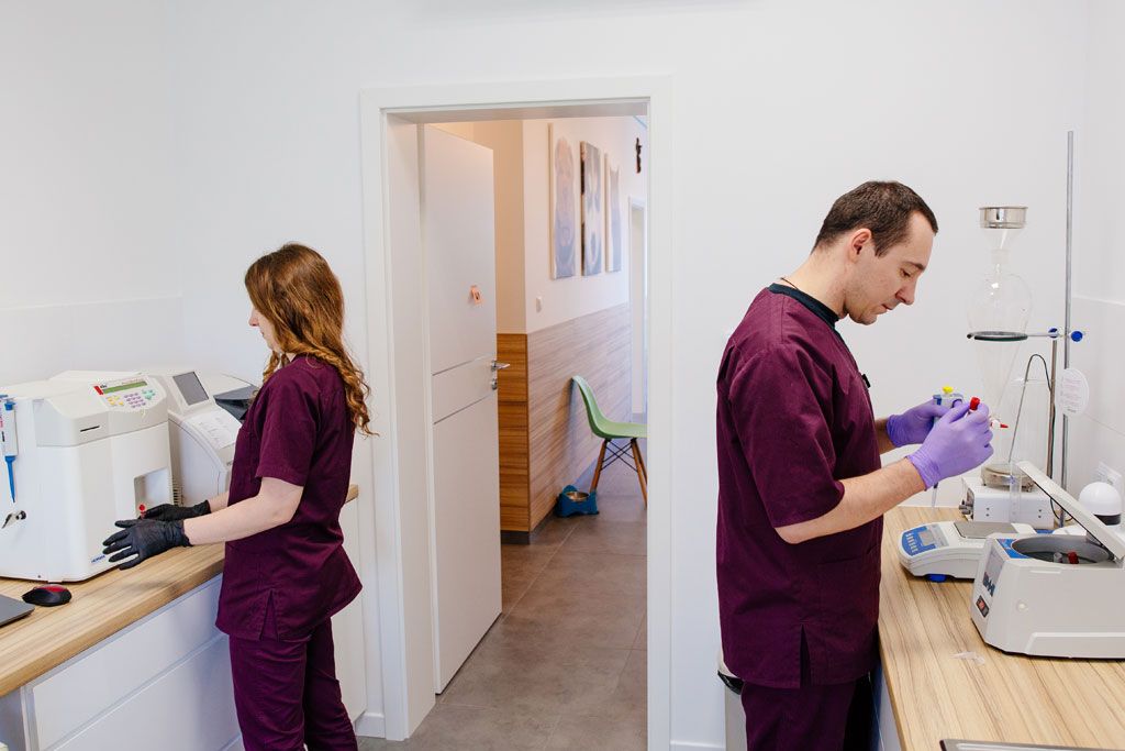 Diagnostyka w weterynarii – kiedy i jakie badania warto wykonać?