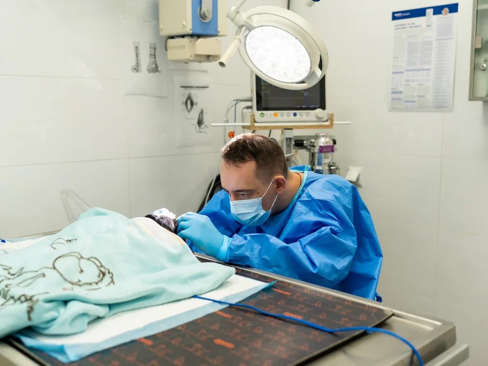 Lekarz weterynarii operuje pacjenta na sali zabiegowej
