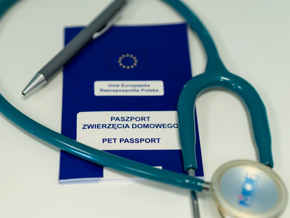 Paszport zwierzęcia domowego i stetoskop
